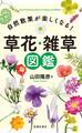 自然散策が楽しくなる! 草花・雑草図鑑(池田書店)