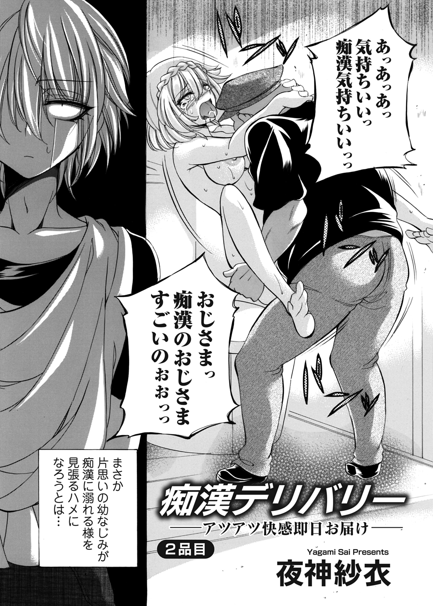 痴漢デリバリー 2品目 ～アツアツ快感即日お届け～