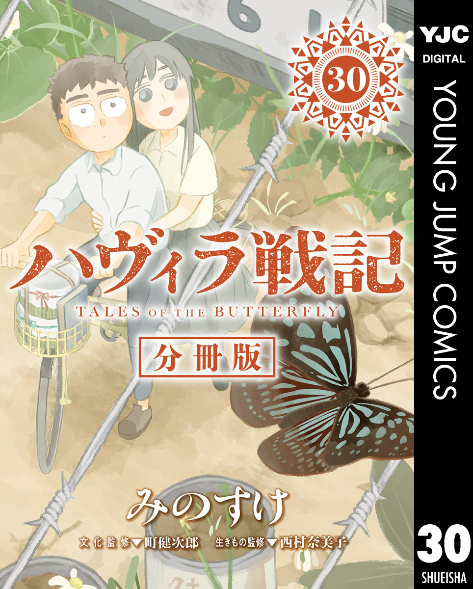 ハヴィラ戦記 第30話