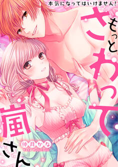 もっとさわって嵐さん~本気になってはいけません!【電子特装版】