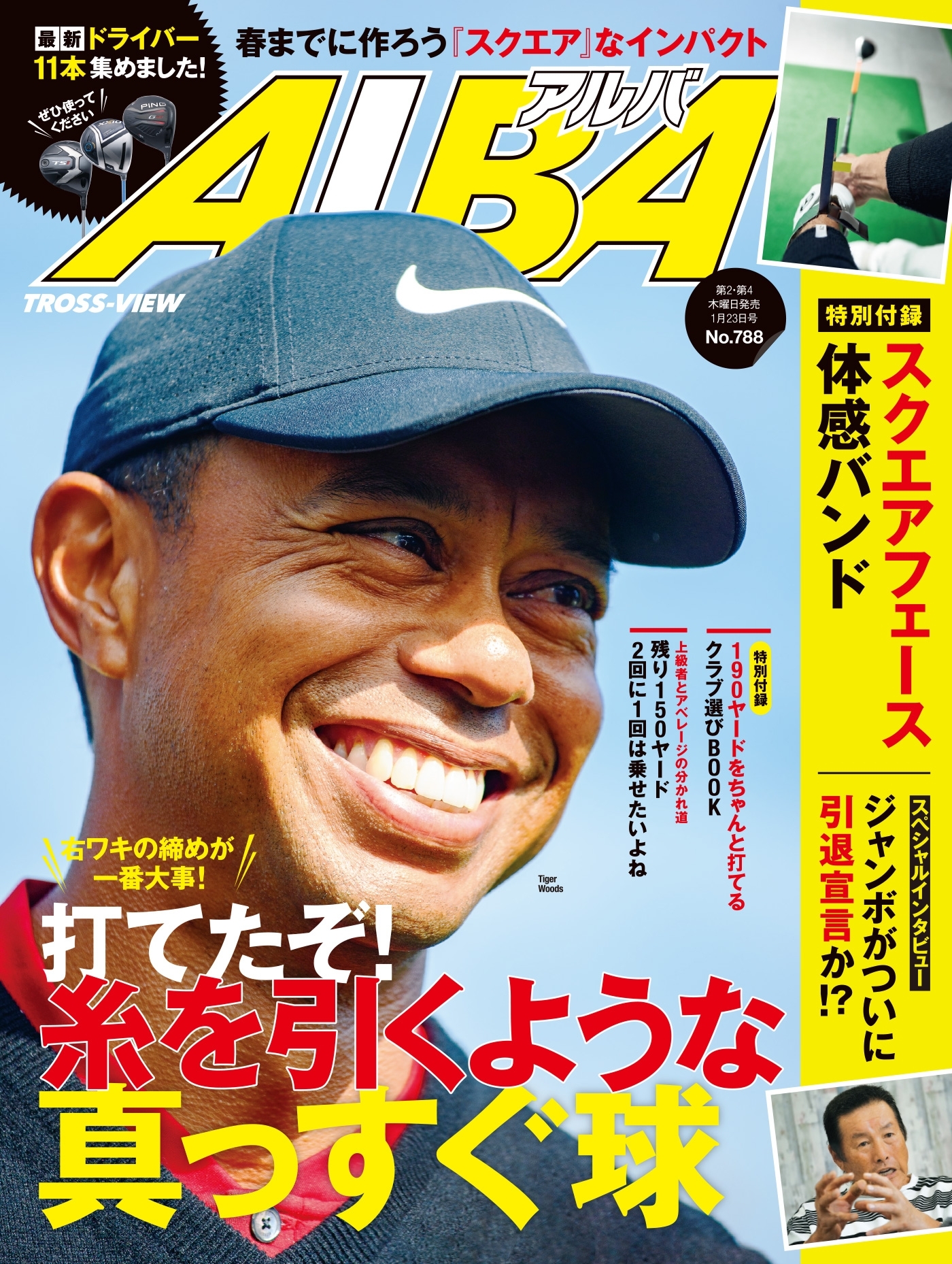 アルバトロス・ビュー　No.788