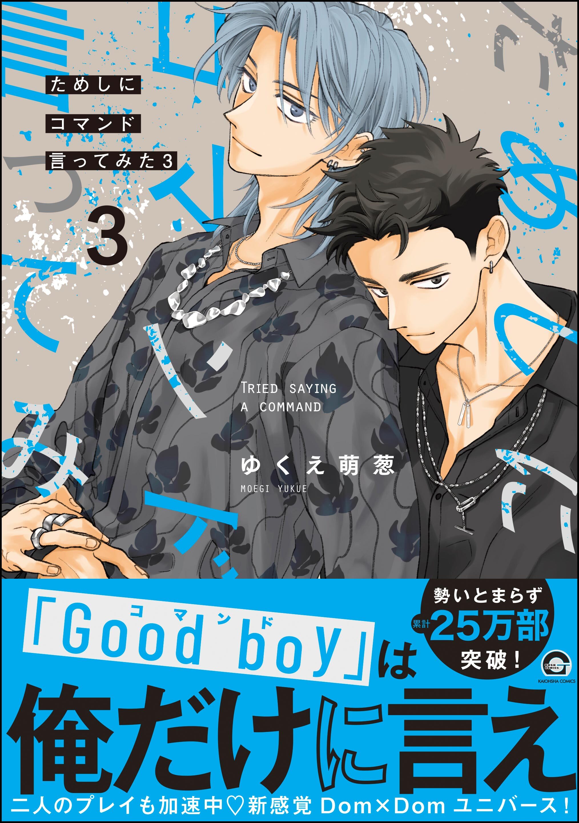 ためしにコマンド言ってみた【電子限定かきおろし漫画付】　（3）