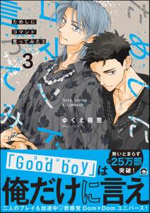 ためしにコマンド言ってみた【電子限定かきおろし漫画付】