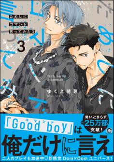 ためしにコマンド言ってみた【電子限定かきおろし漫画付】