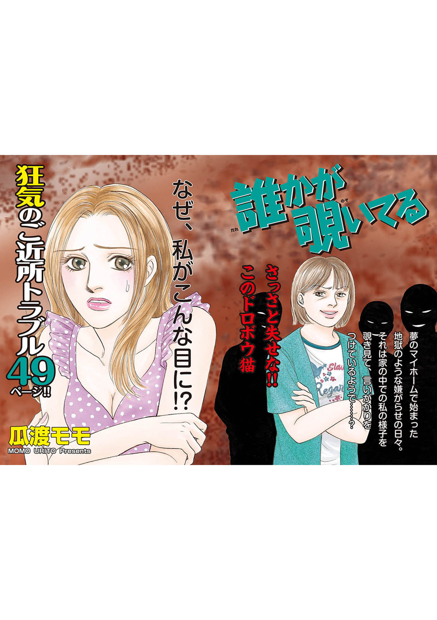 あなたの隣のモンスター主婦ＳＰ～誰かが覗いてる～