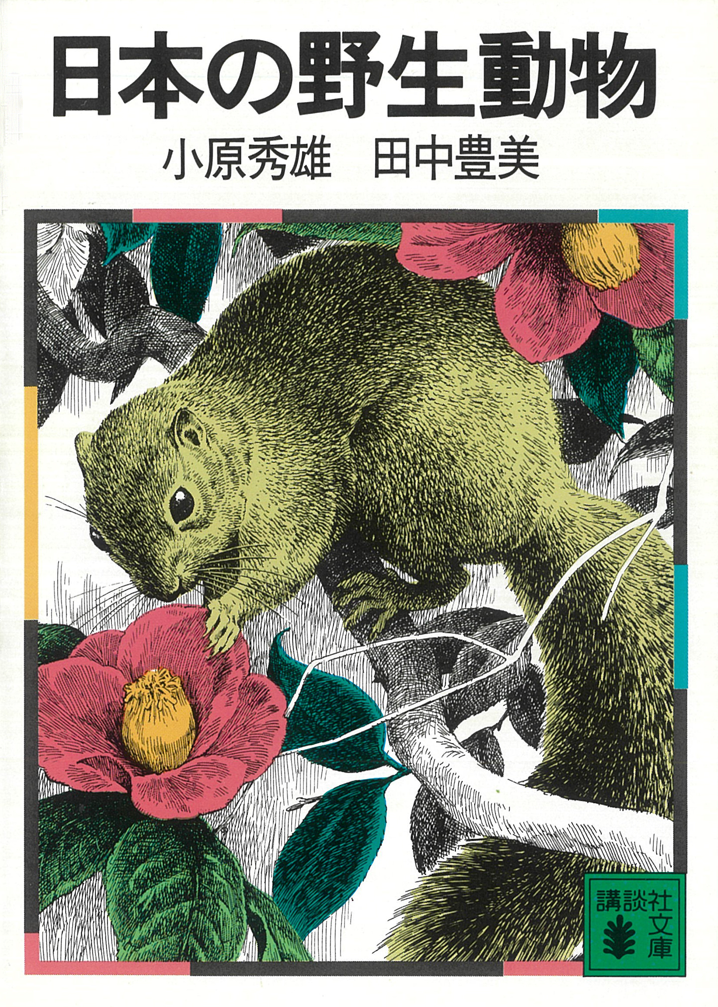 日本の野生動物