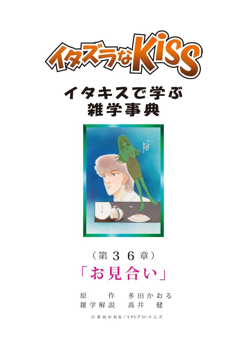 イタズラなKiss～イタキスで学ぶ雑学事典～ 第36章 ｢お見合い｣
