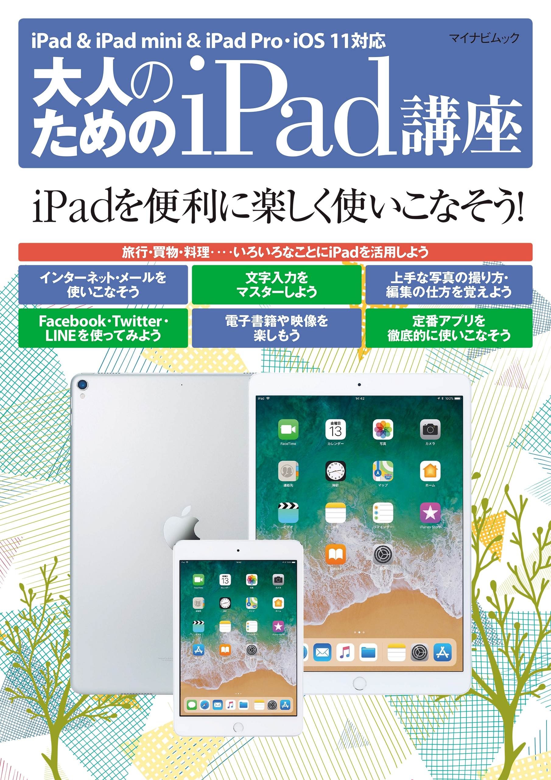 大人のためのiPad講座 iPad・iPad mini・iPad Pro／iOS 11対応