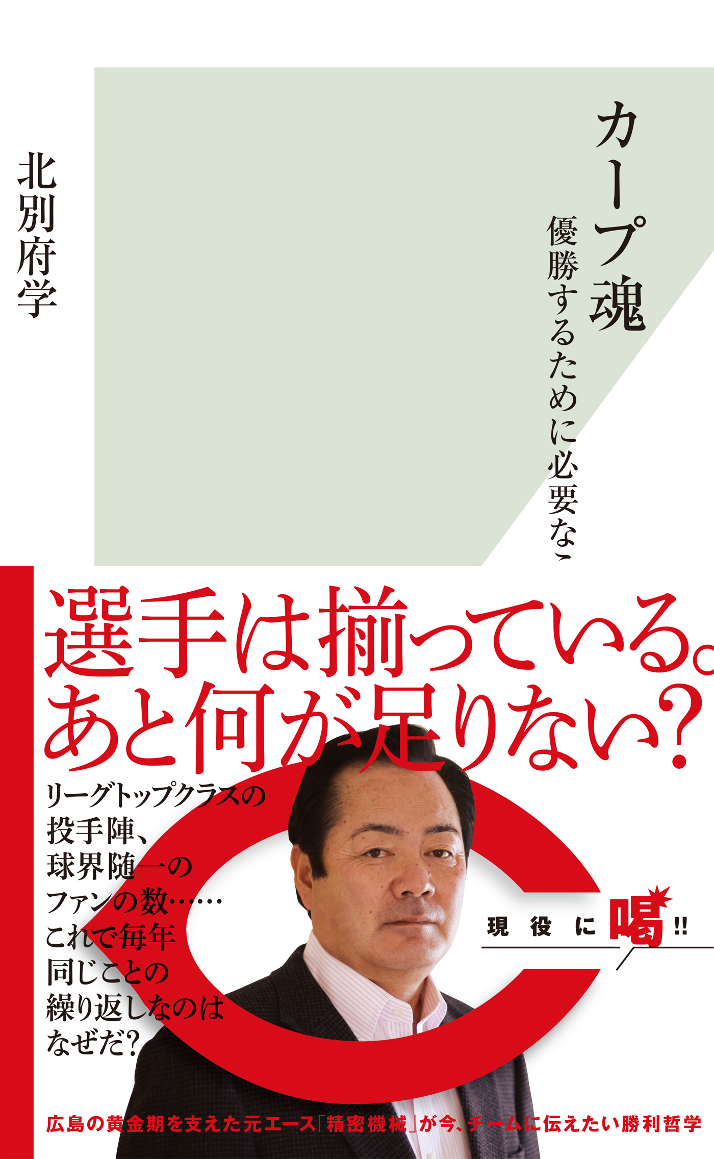 カープ魂～優勝するために必要なこと～