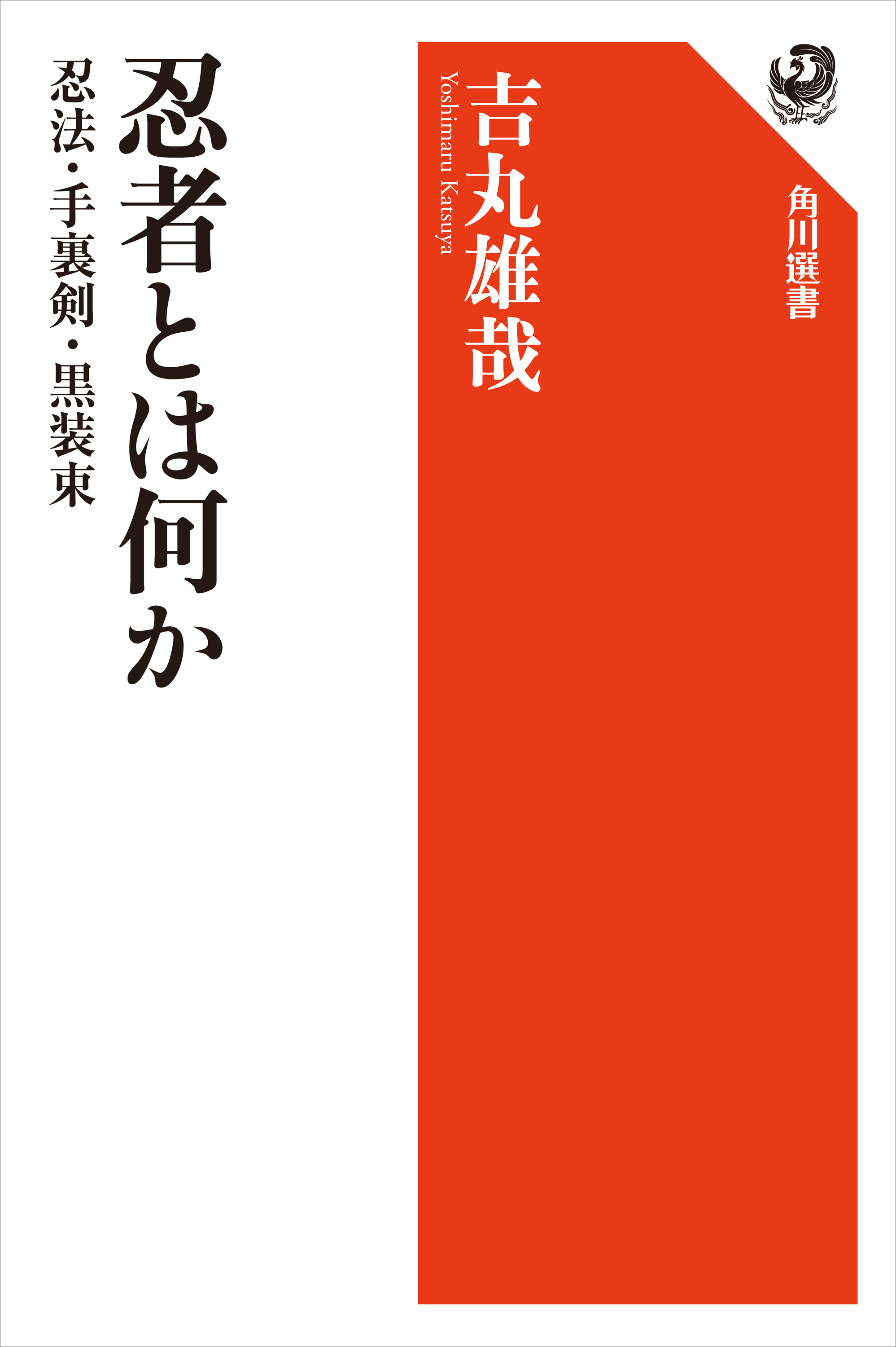 忍者とは何か　忍法・手裏剣・黒装束