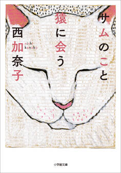 サムのこと 猿に会う