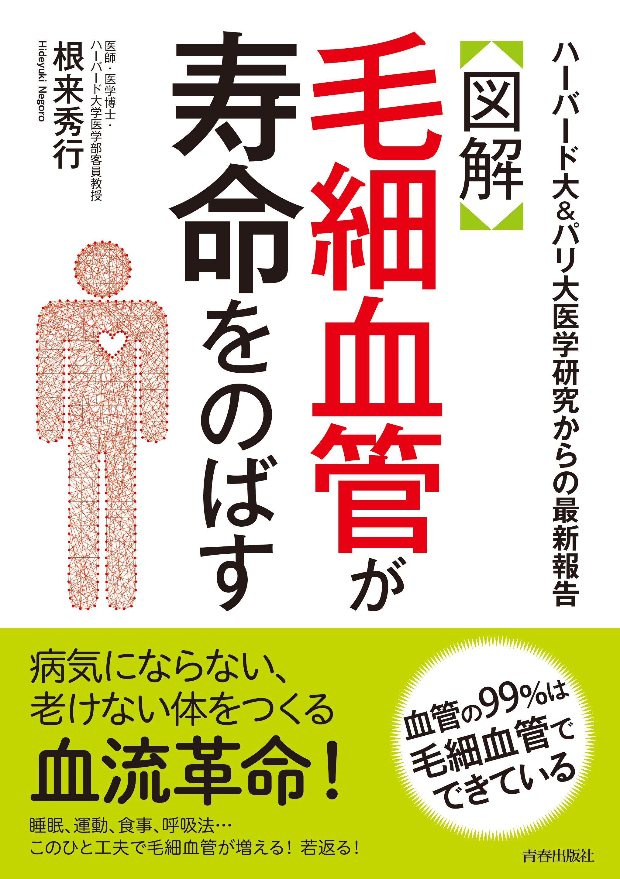 【図解】毛細血管が寿命をのばす