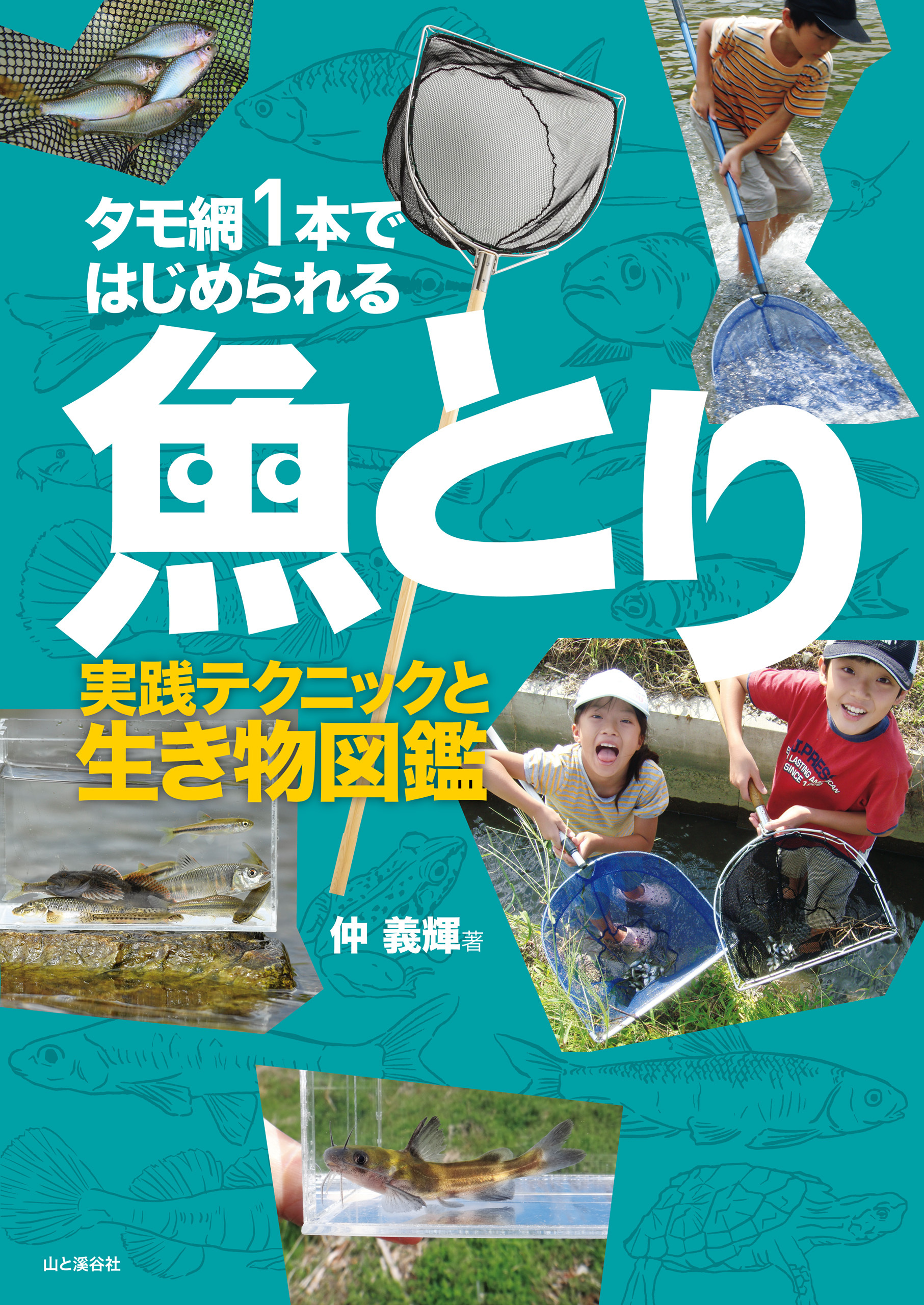 タモ網1本ではじめられる魚とり 実践テクニックと生き物図鑑