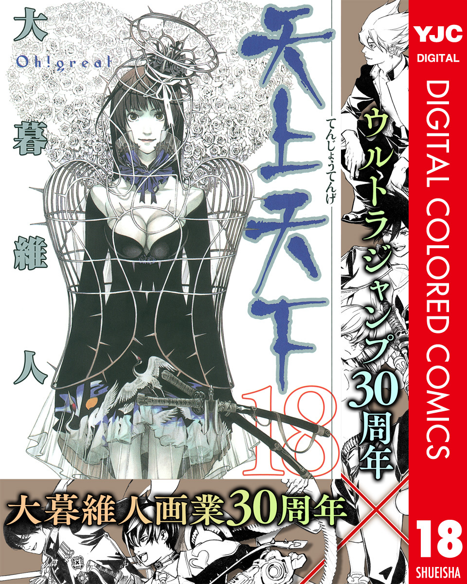 天上天下 カラー版 18