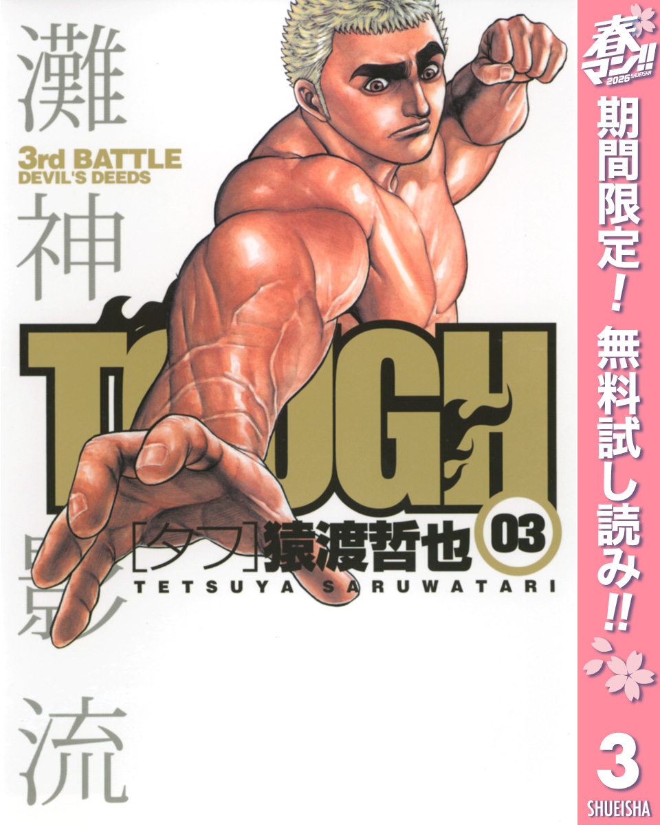 TOUGH―タフ―【期間限定無料】 3