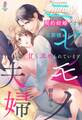 ニセモノ夫婦~契約結婚ですが旦那様から甘く求められています~