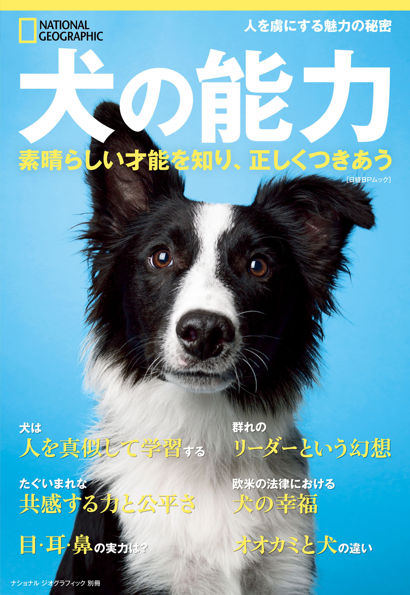 犬の能力 素晴らしい才能を知り、正しくつきあう (ナショナル ジオグラフィック別冊)