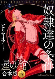 星の館【合本版】5巻 奴隷達の条件