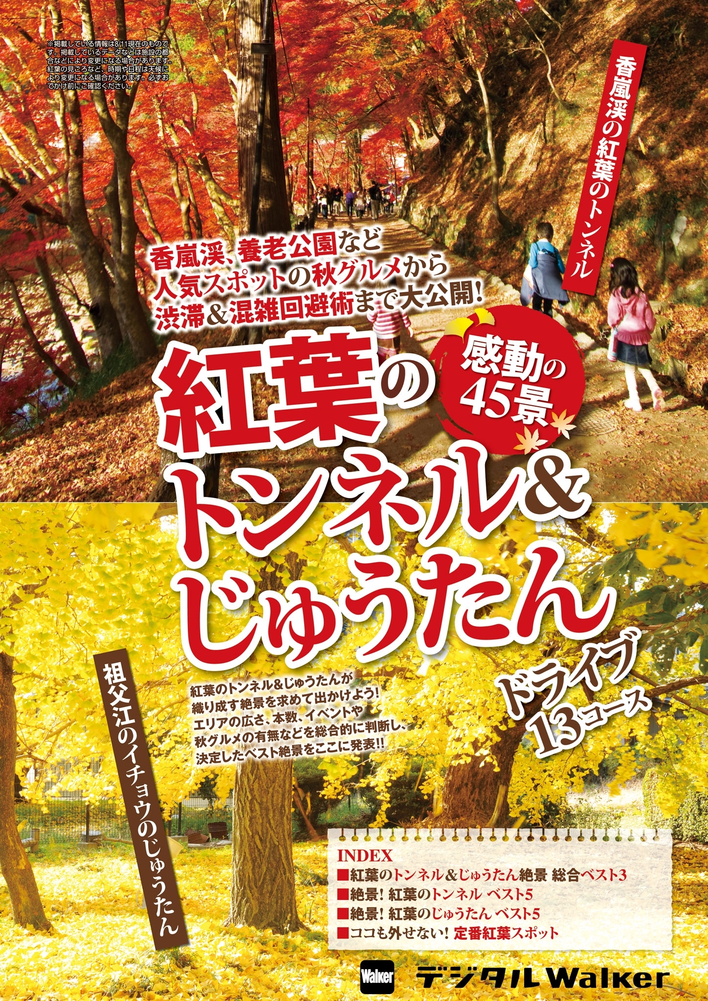 東海ウォーカー特別編集　紅葉のトンネル&じゅうたん感動の45景