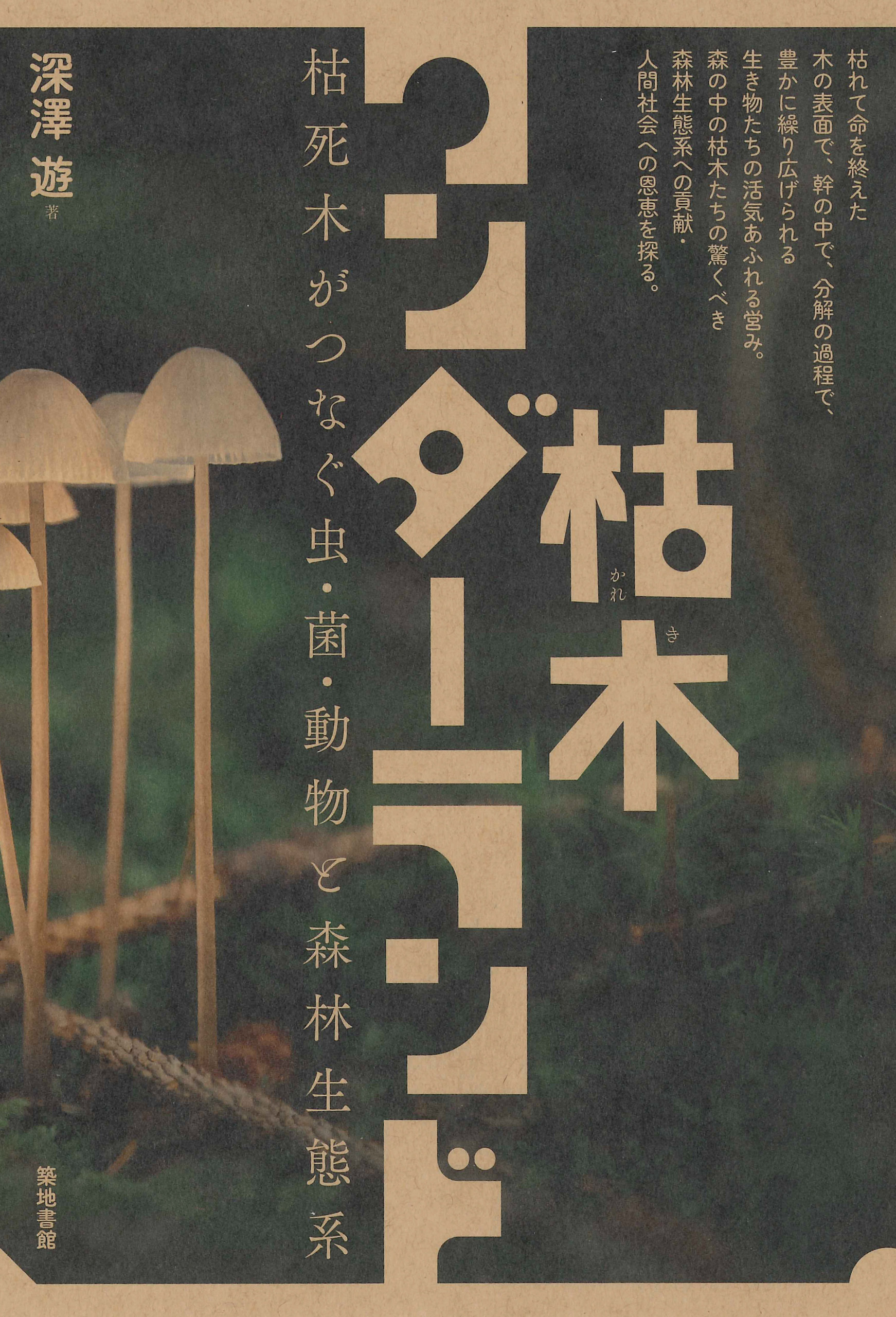 枯木ワンダーランド