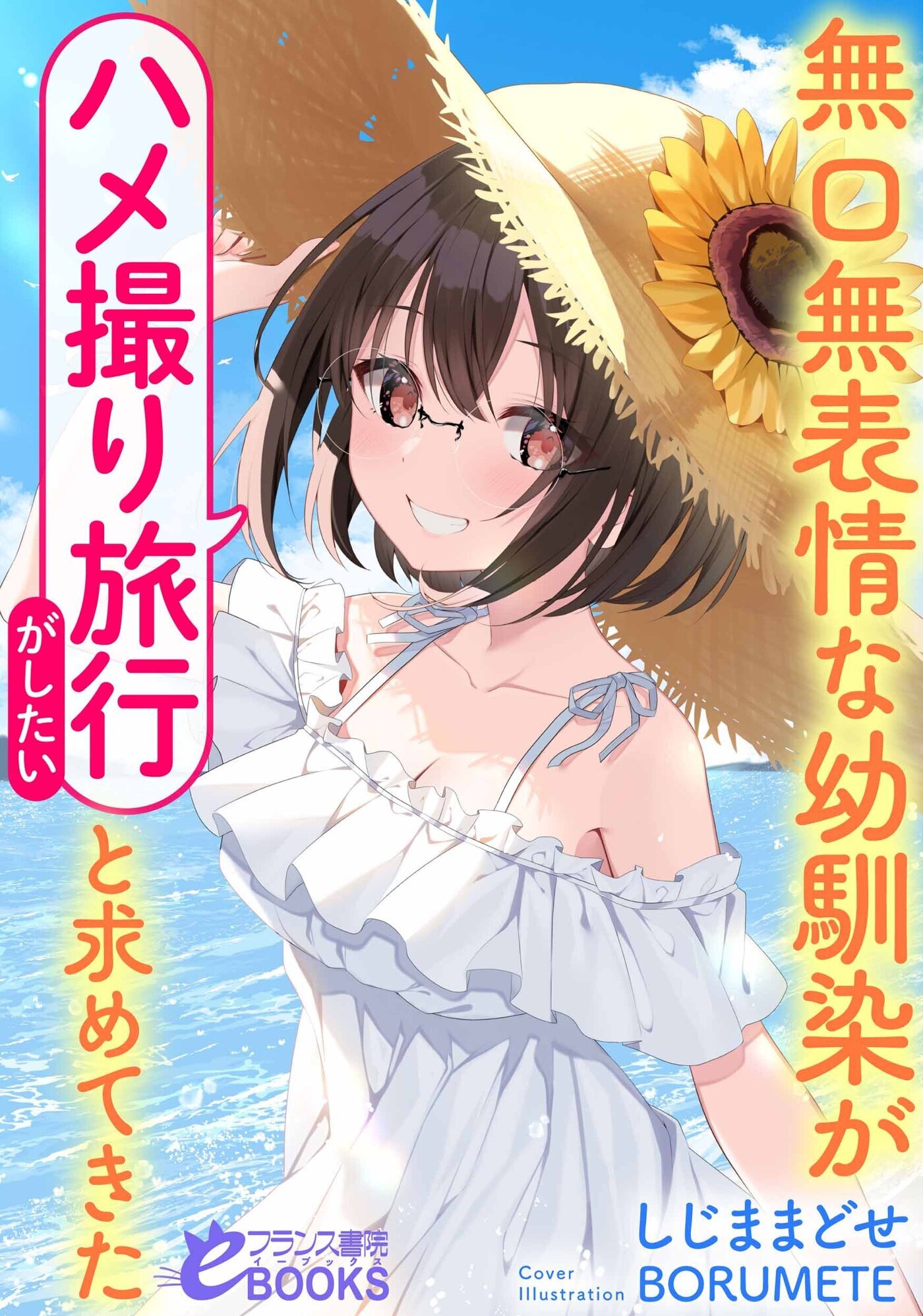 無口無表情な幼馴染が「ハメ撮りがしたい」とか頼んできて