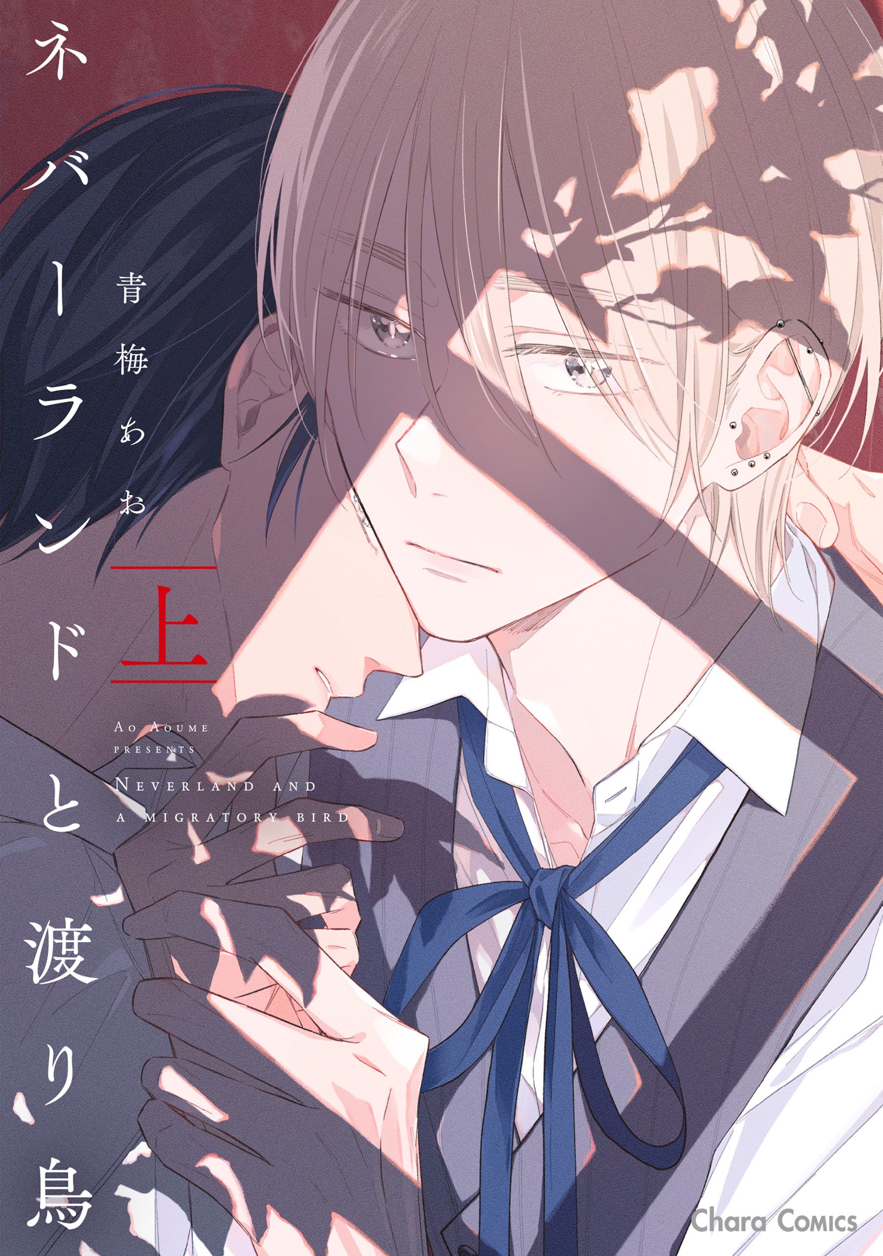 ネバーランドと渡り鳥（上）