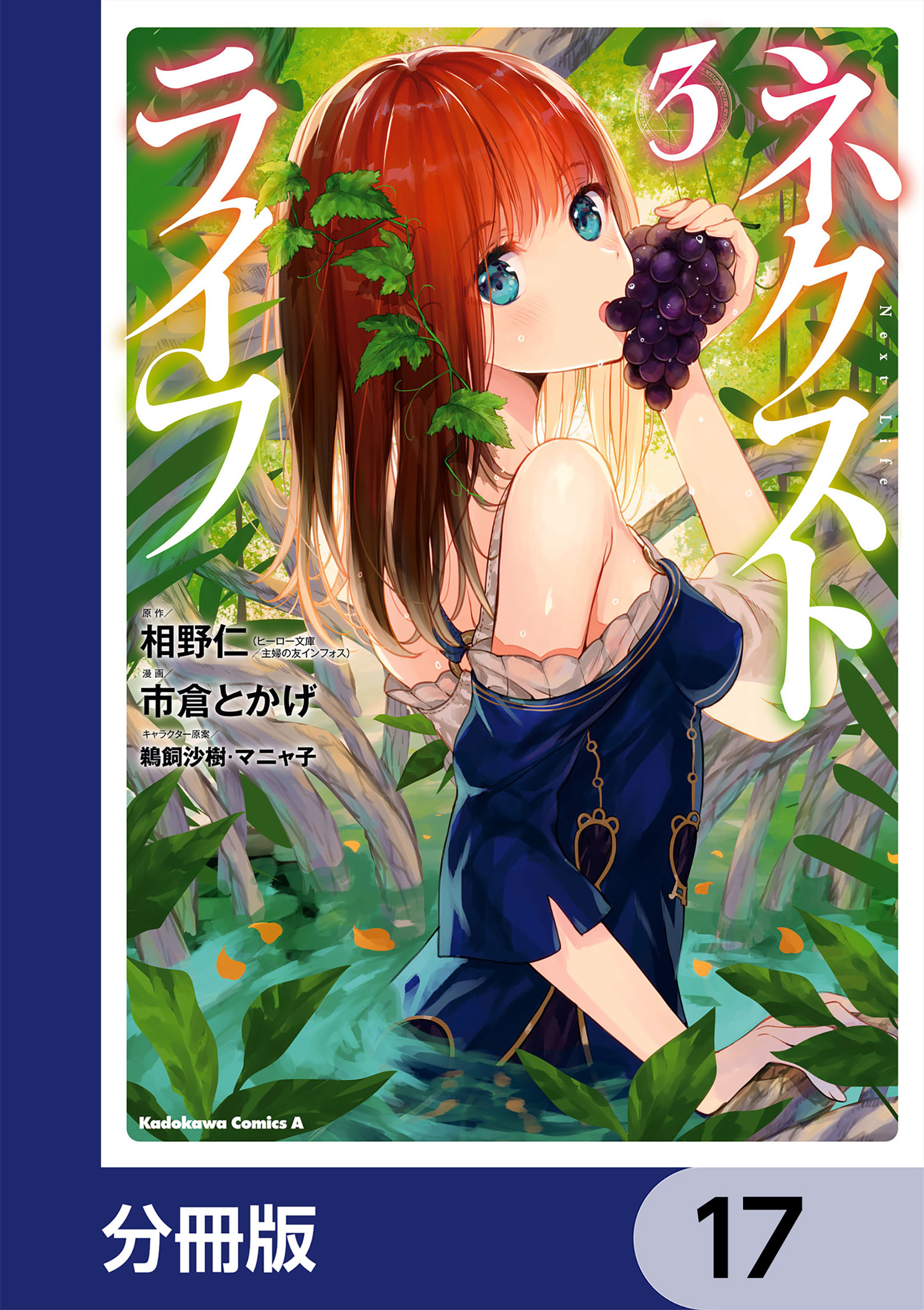 ネクストライフ【分冊版】　17