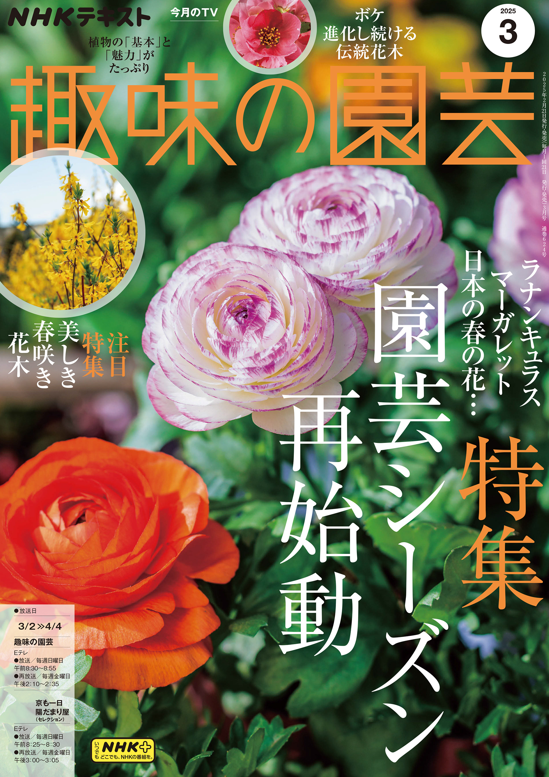 ＮＨＫ 趣味の園芸 2025年3月号