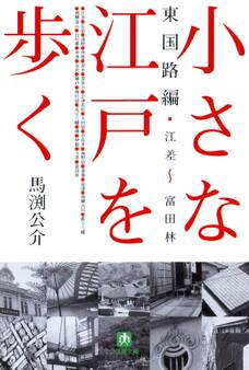 小さな江戸を歩く 東国路編 江差~富田林(小学館文庫)
