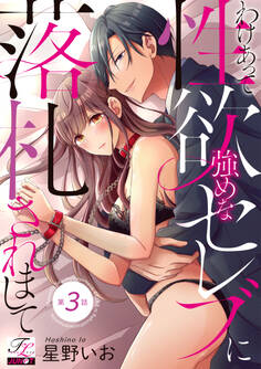 わけあって性欲強めなセレブに落札されまして 第3話