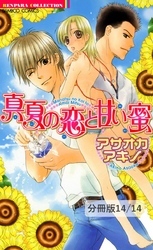 真夏の恋と甘い蜜【分冊版】