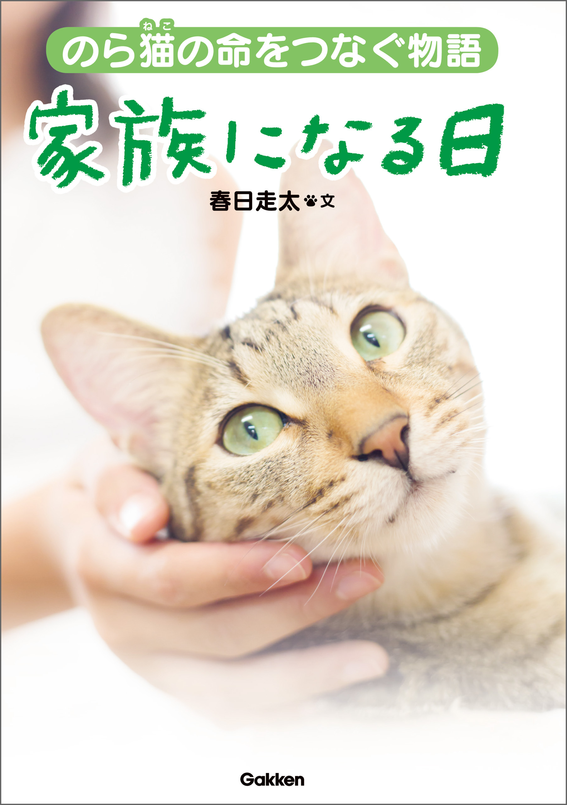 家族になる日 のら猫の命をつなぐ物語
