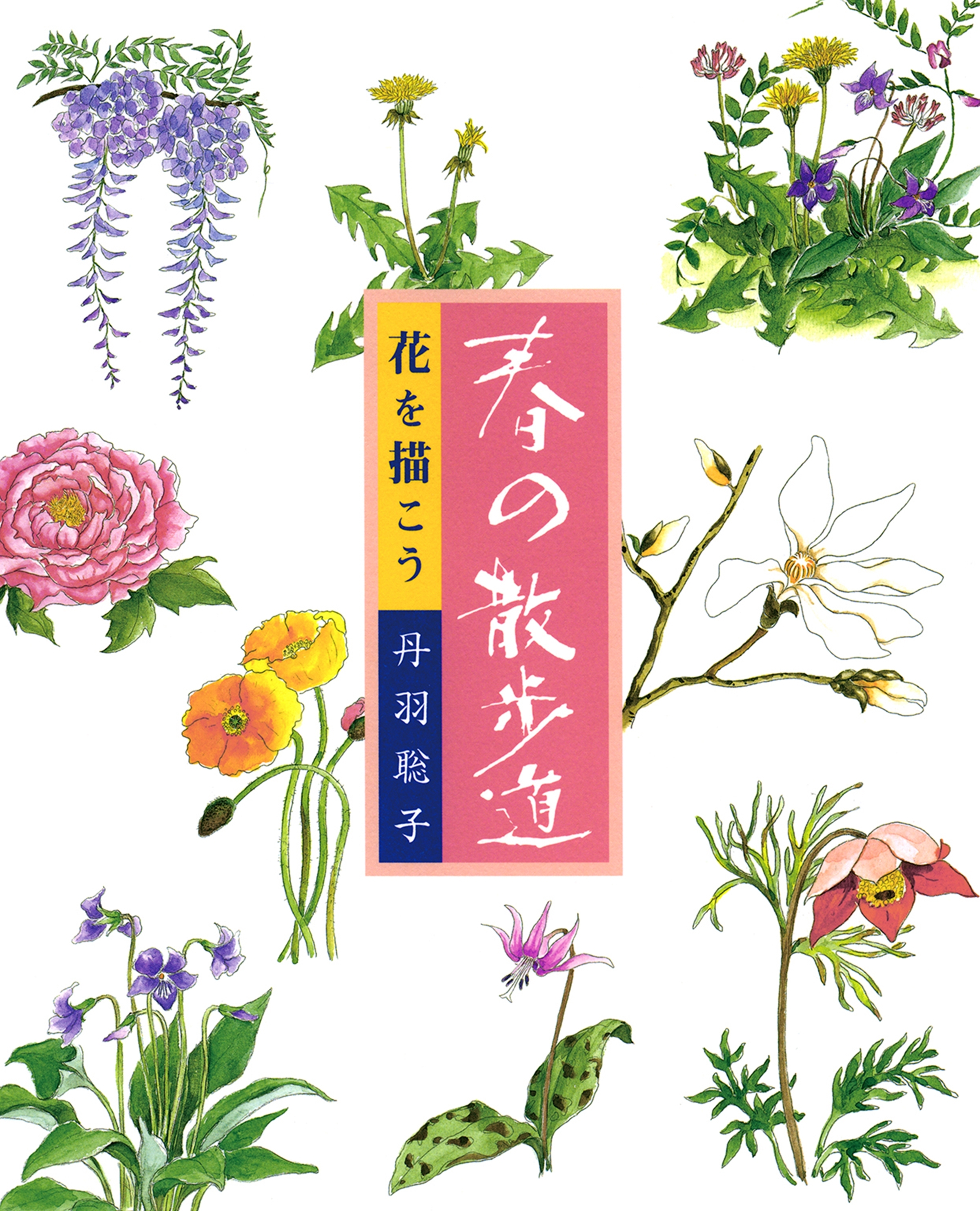 花を描こう　春の散歩道