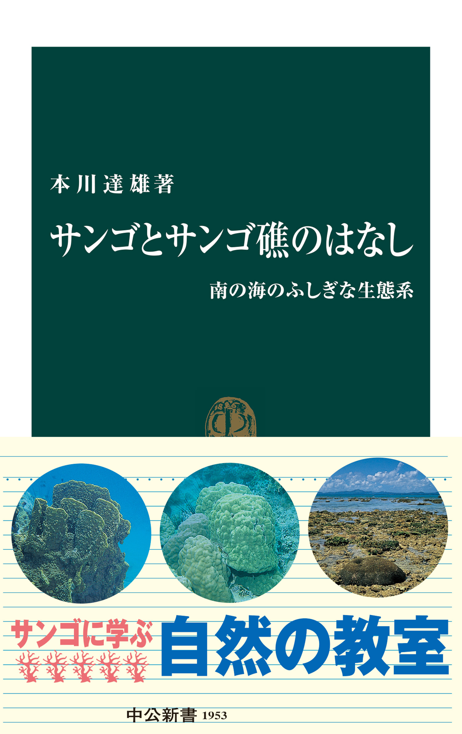 サンゴとサンゴ礁のはなし　南の海のふしぎな生態系