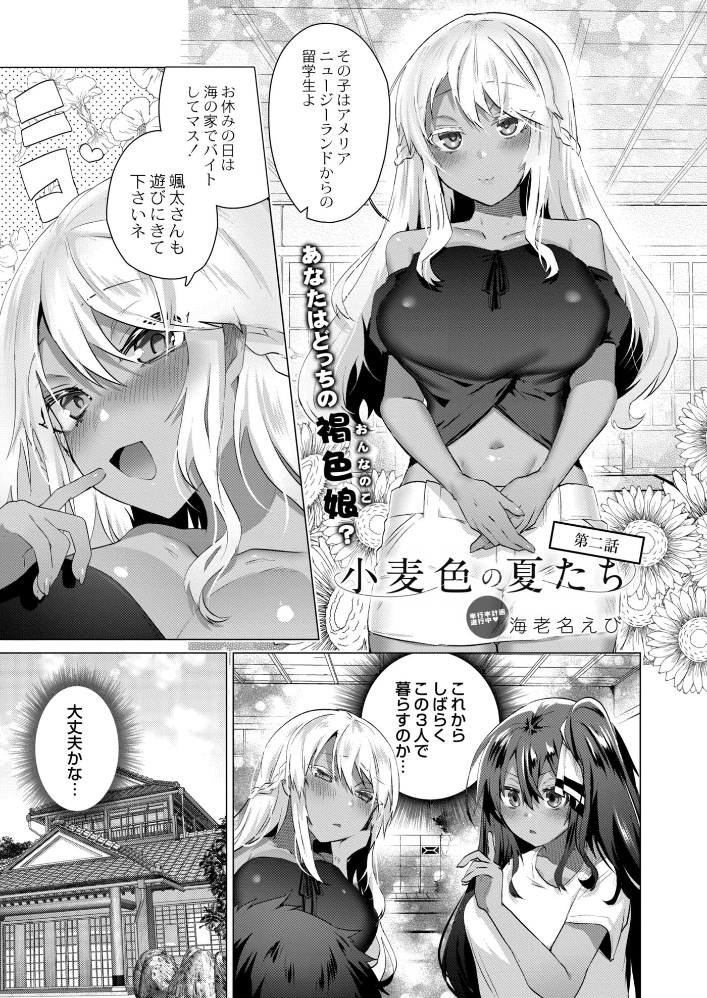 小麦色の夏たち