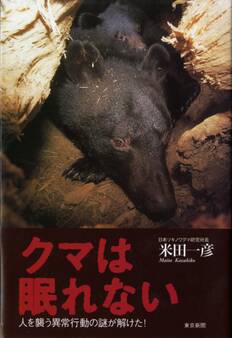 クマは眠れない