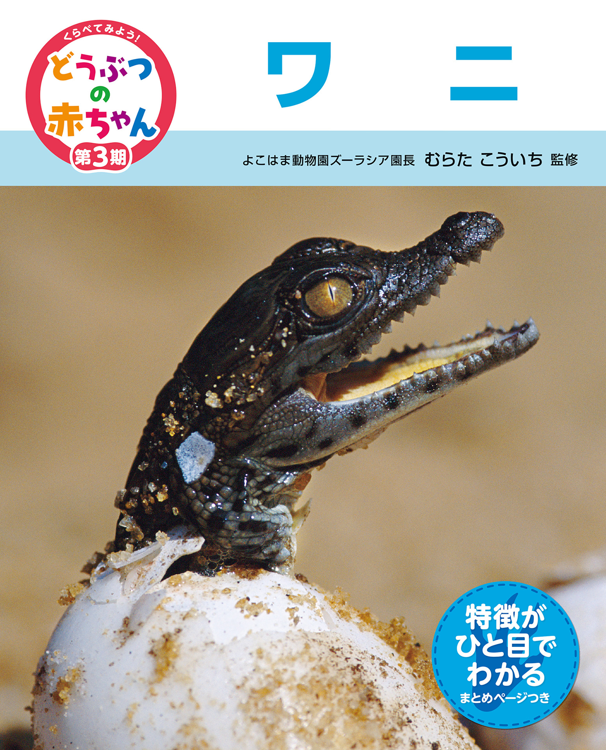 ワニ２４　くらべてみよう！どうぶつの赤ちゃん
