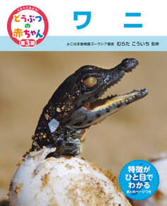 くらべてみよう!どうぶつの赤ちゃん