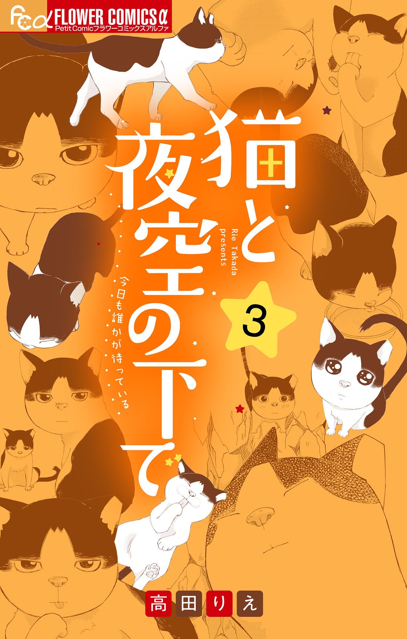 猫と夜空の下で