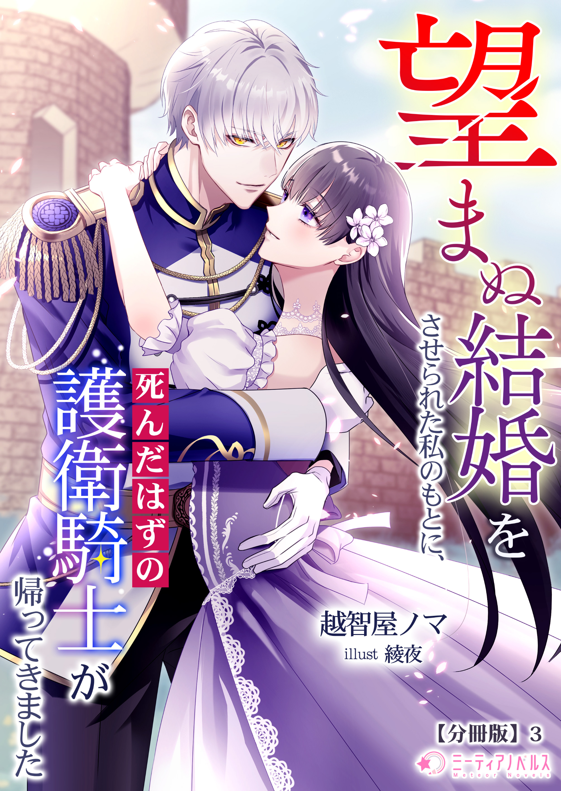 望まぬ結婚をさせられた私のもとに、死んだはずの護衛騎士が帰ってきました【分冊版】3