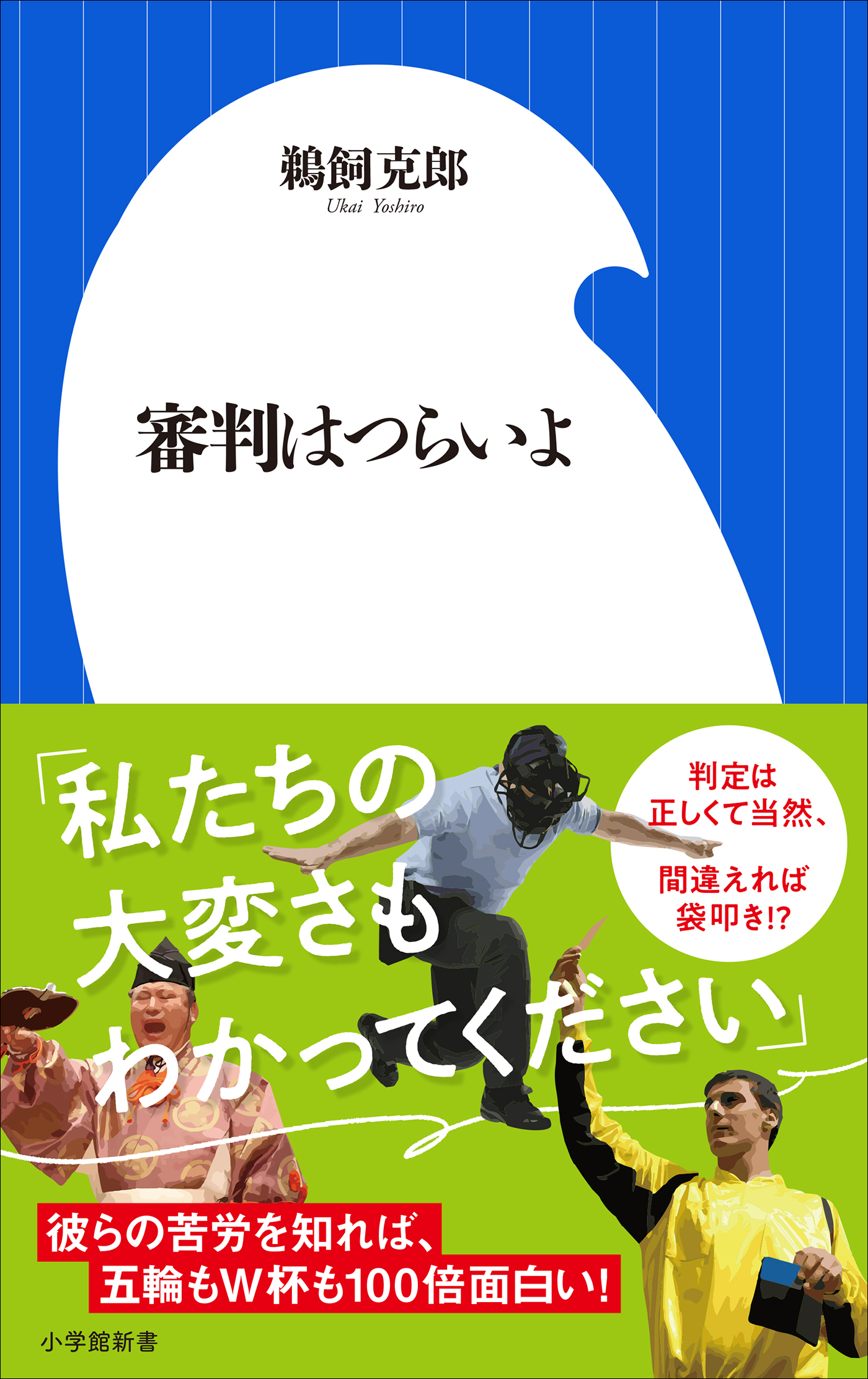 審判はつらいよ（小学館新書）