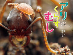 アリとくらすむし