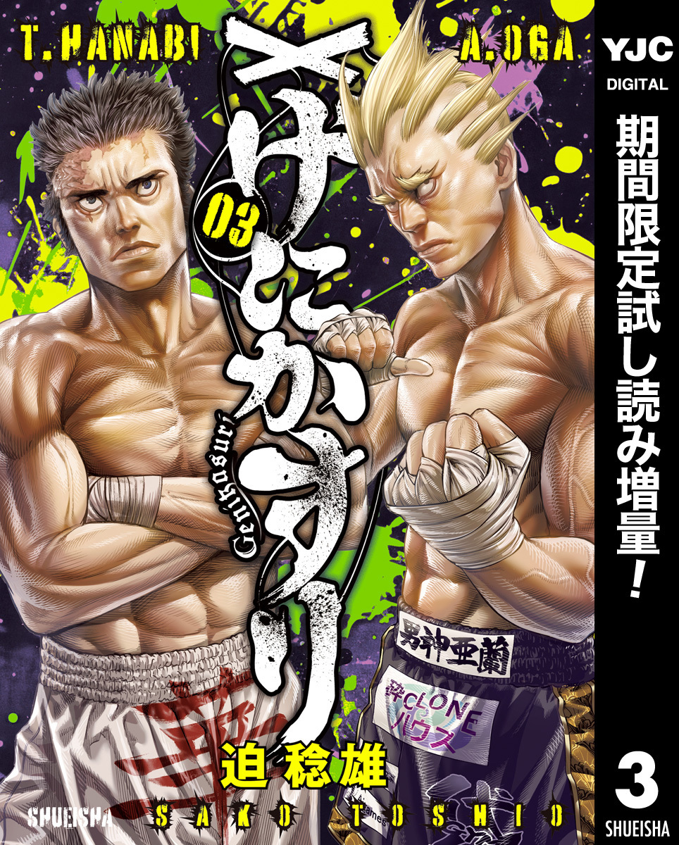 げにかすり【期間限定試し読み増量】 3