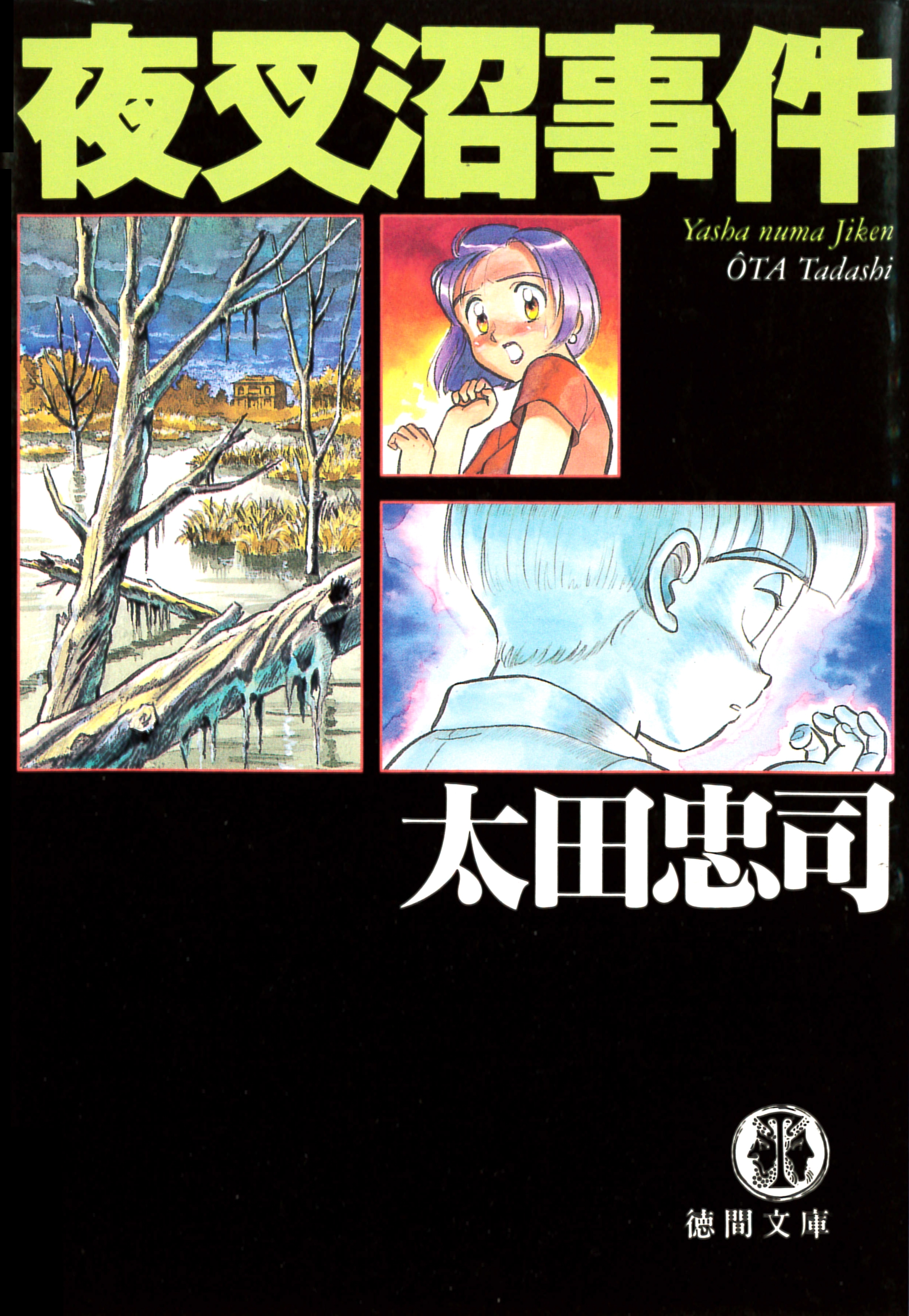 夜叉沼事件<新装版>