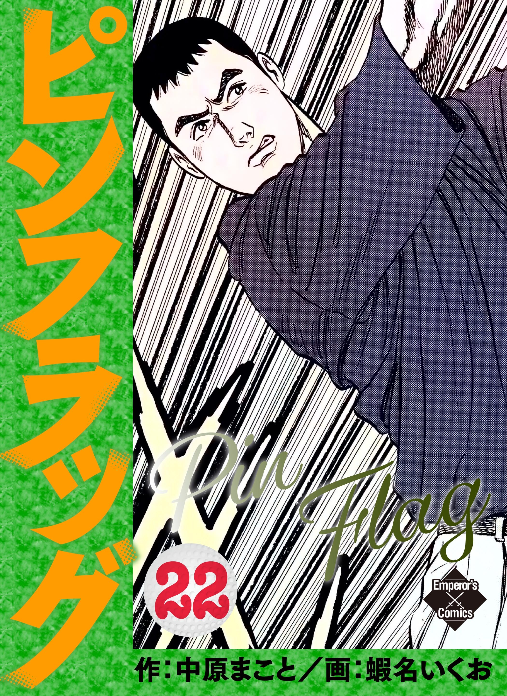 ピンフラッグ 22