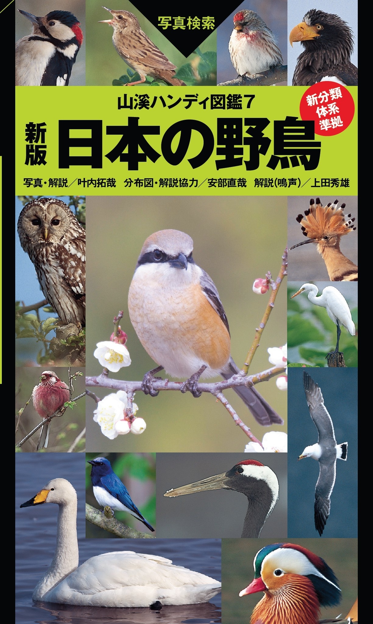 山溪ハンディ図鑑7　新版　日本の野鳥