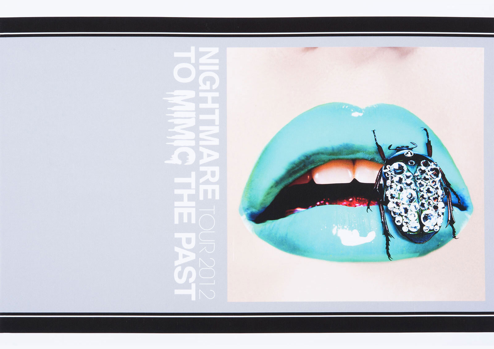 ナイトメア公式ツアーパンフレット 2012　Tour 2012 To Mimic The Past