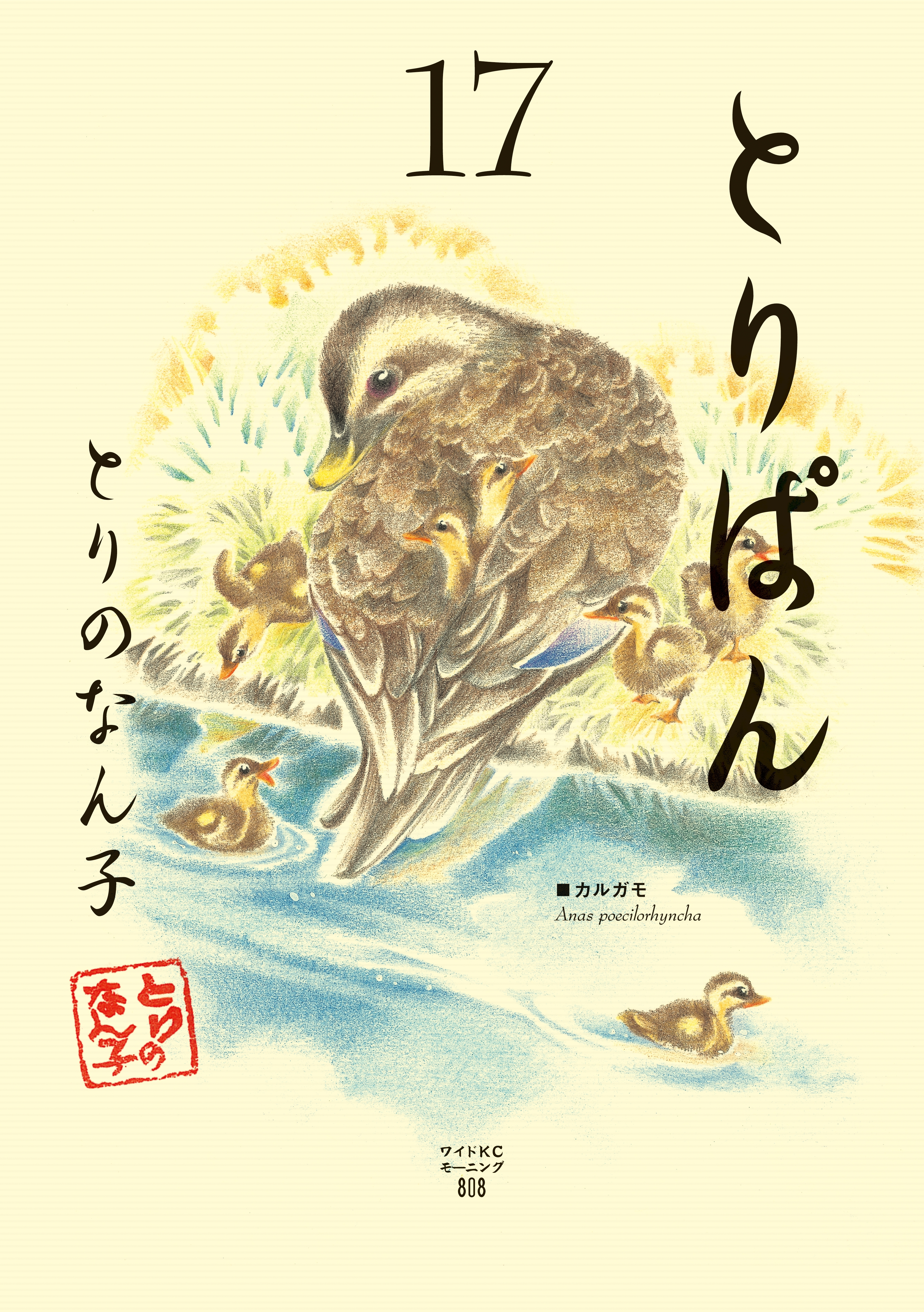 とりぱん（17）