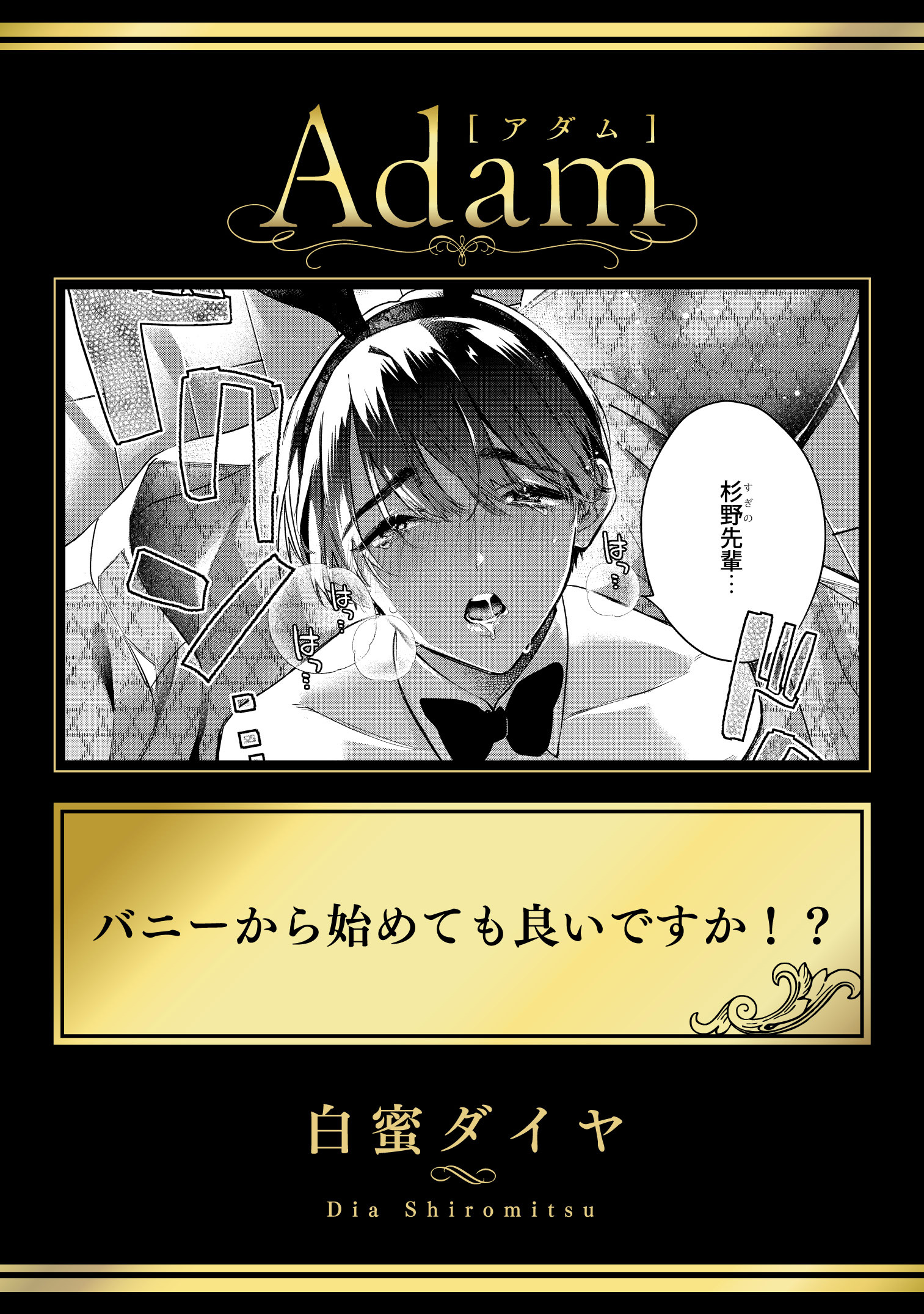 バニーから始めても良いですか！？