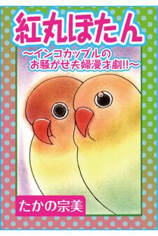 紅丸ぼたん~インコカップルのお騒がせ夫婦漫才劇!!~